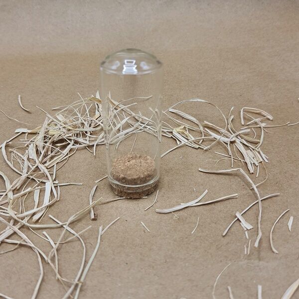 Ters Fanus Cam Şişe 6,5 cm