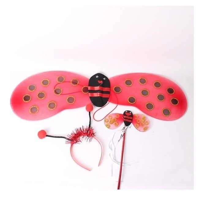 Dar Uğur Böceği Kanat Set