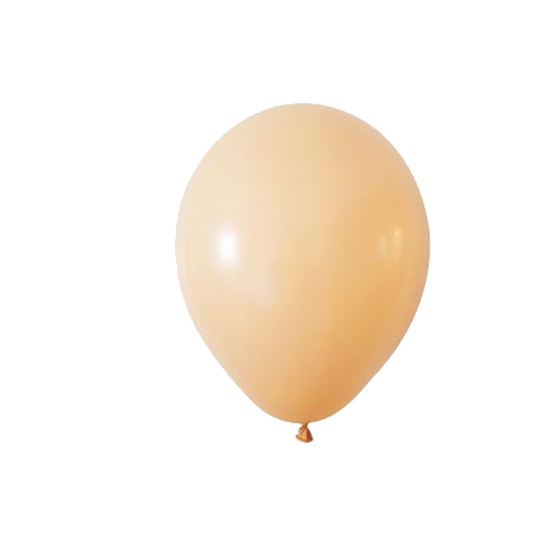 Pastel Somon Balon 12 inc 10 lu