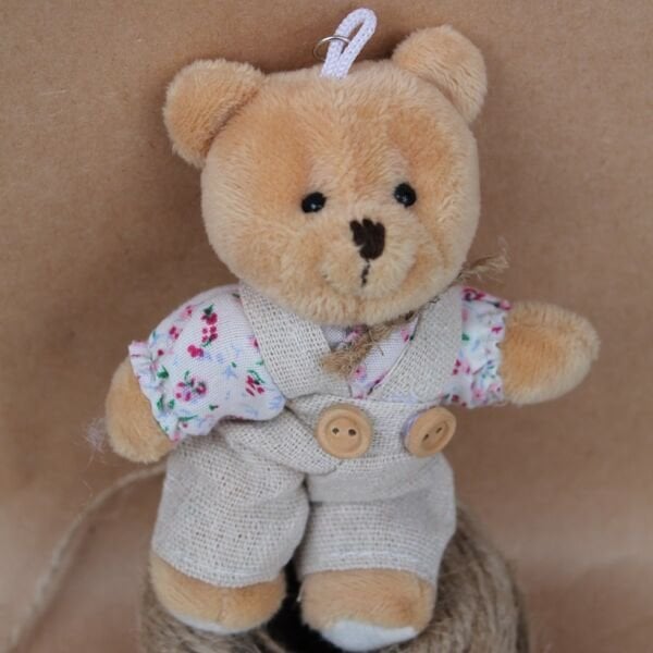 Giysili Mini Peluş Ayıcık 12 cm