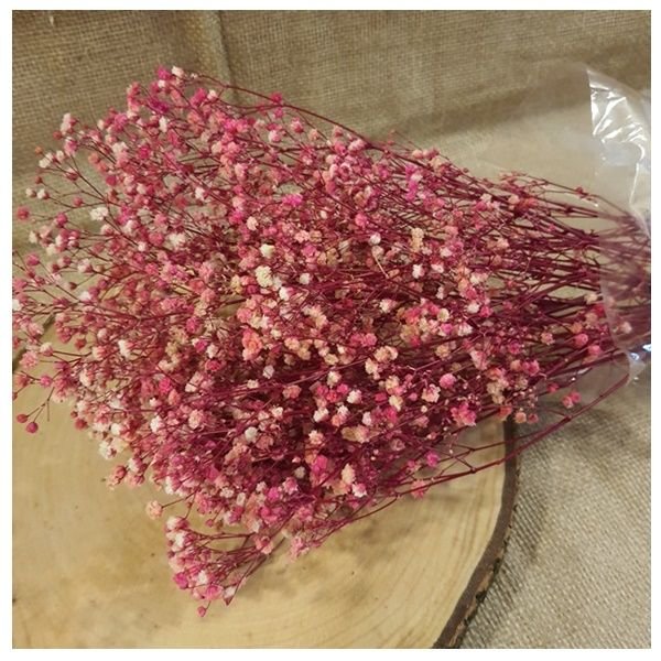 Pembe Cipso Çiçek
