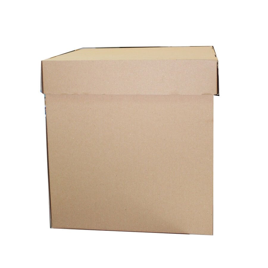 Kraft Pasta Kutusu 30x30x30