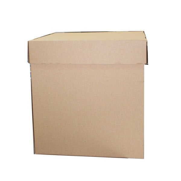 Kraft Pasta Kutusu 30x30x30