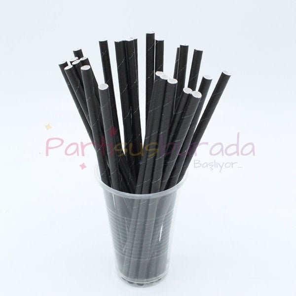 Siyah Kağıt Pipet 24 Adet