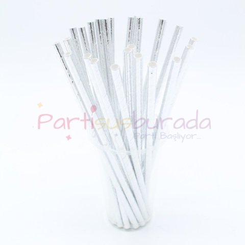 Gümüş Yaldızlı Kağıt Pipet 24 Adet